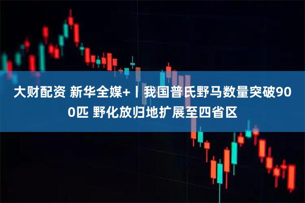 大财配资 新华全媒+丨我国普氏野马数量突破900匹 野化放归地扩展至四省区