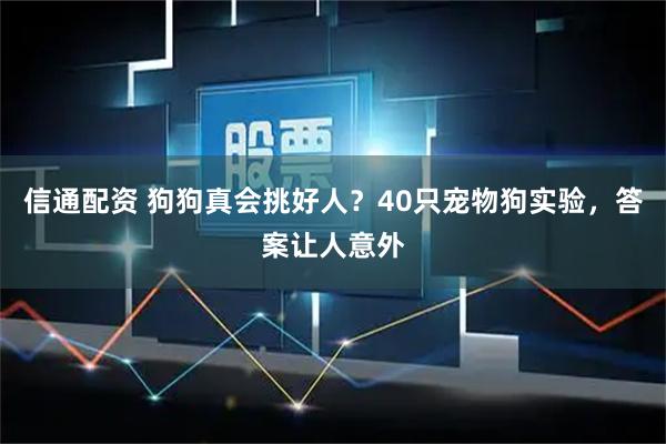 信通配资 狗狗真会挑好人？40只宠物狗实验，答案让人意外