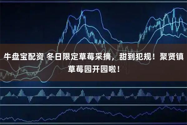 牛盘宝配资 冬日限定草莓采摘，甜到犯规！聚贤镇草莓园开园啦！